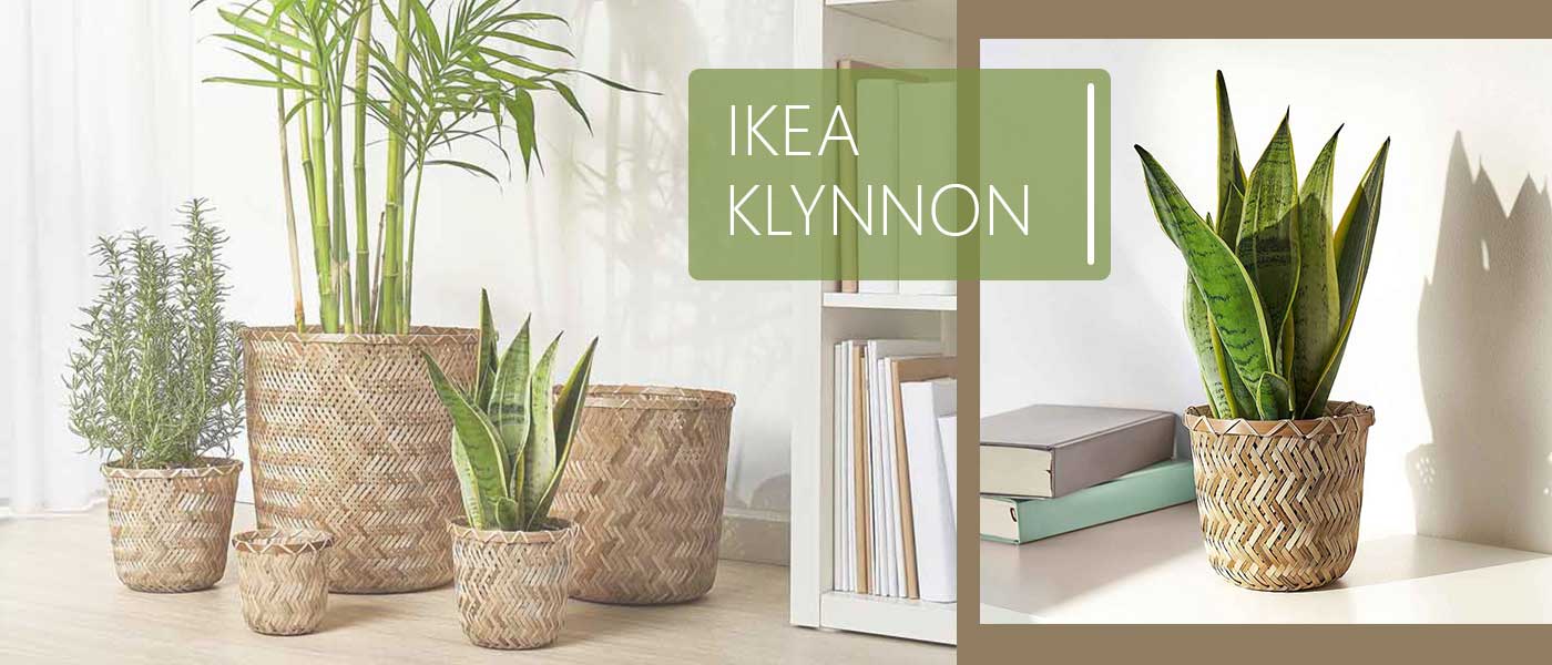 گلدان ایکیا مدل IKEA KLYNNON سایز 12 سانتی متر